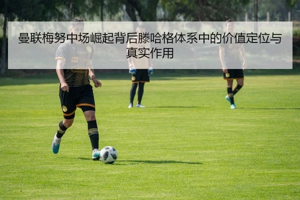 man-lian-mei-nu-zhong-chang-jue-qi-bei-hou-teng-ha-ge-ti-xi-zhong-de-jia-zhi-ding-wei-yu-zhen-shi-zuo-yong-2-337.jpg