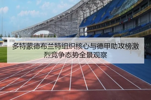 多特蒙德布兰特组织核心与德甲助攻榜激烈竞争态势全景观察