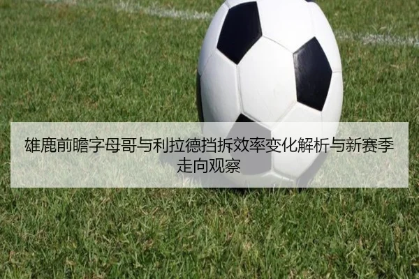 雄鹿前瞻字母哥与利拉德挡拆效率变化解析与新赛季走向观察